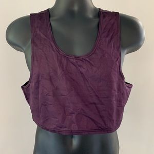 ABS Purple crop top